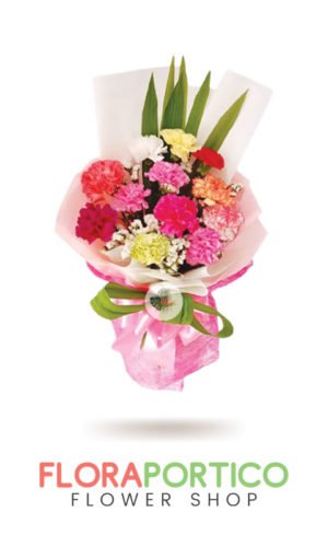Bouquet of Carnations 3